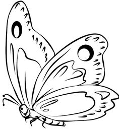 mariposa dibujo