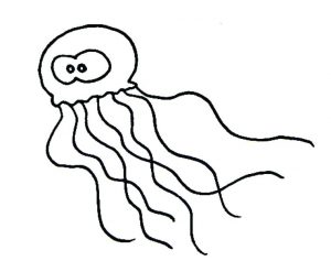 medusa de mar para colorear