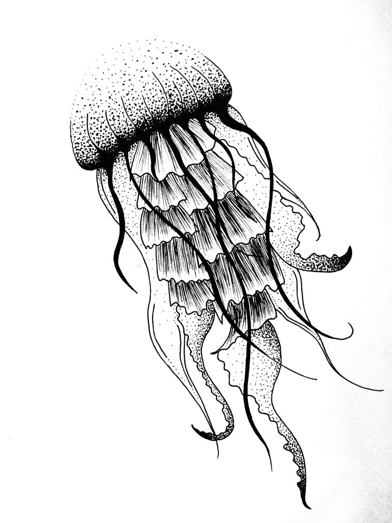 medusa imagen