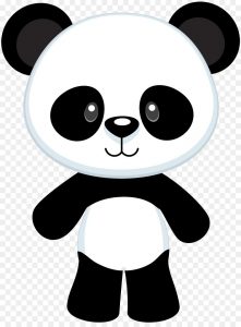 oso panda dibujo