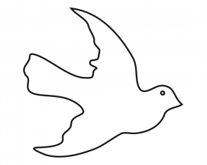 paloma blanca dibujo