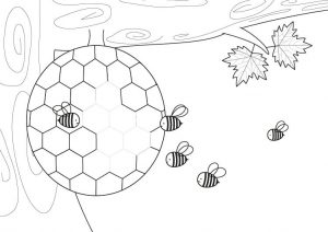 panal de abejas dibujo