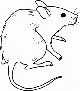 raton para dibujar