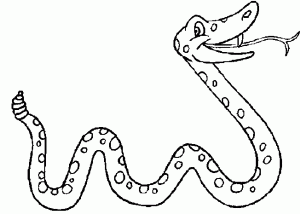 serpiente dibujo realista