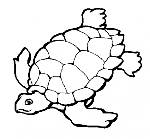 tortuga marina animada