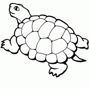 tortugas animadas imagenes