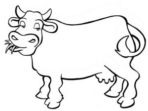 vaca caricatura