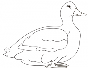 como dibujar un pato