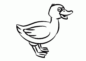 dibujos faciles de patos