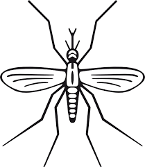 imagenes de mosquitos animados