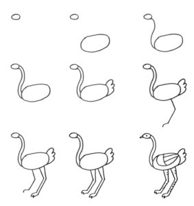 dibujo de avestruz para niños
