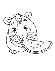 dibujo de un hamster para colorear