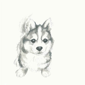 dibujos de cachorros para colorear