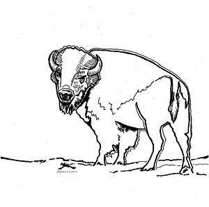 dibujos para colorear de bufalos