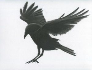diseños de cuervos