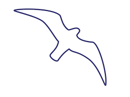 imagenes de gaviotas volando