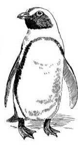 imagenes de pinguinos navideños