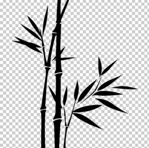 bamboo dibujo
