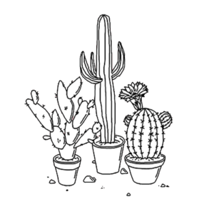 cactus en dibujo