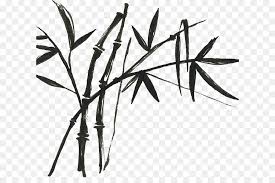 como dibujar un bambu