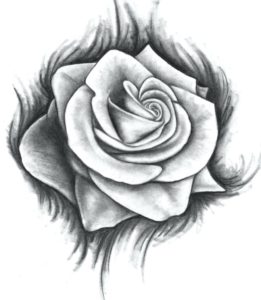 como dibujar una rosa facil