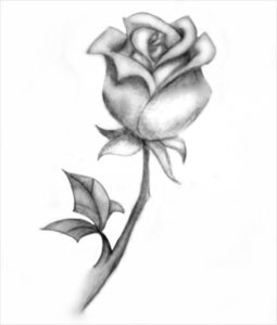 como dibujar una rosa facil y bonita