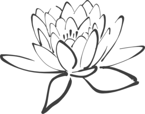 cuadro flor de loto