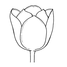 cuadro tulipanes