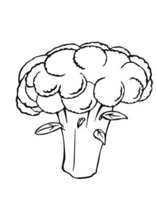 dibujo de brocoli