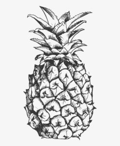dibujo de frutilla