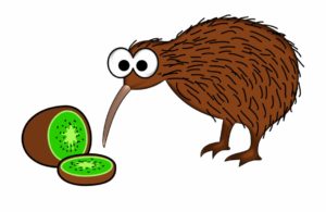 dibujo del kiwi