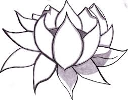 dibujo flor loto