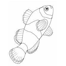 dibujos de pescados para imprimir
