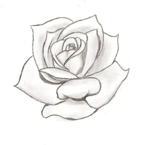 dibujos de rosas bonitas