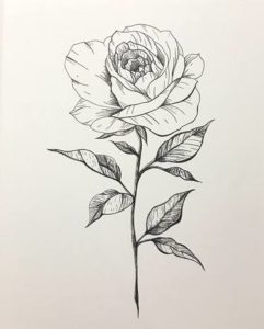 dibujos de rosas para dibujar