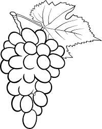 dibujos de uvas para imprimir