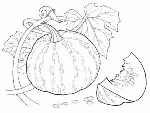 dibujos de verduras para colorear