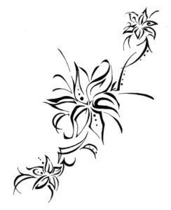 flor de lirio dibujo