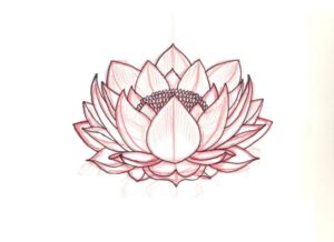 flor de loto wallpaper