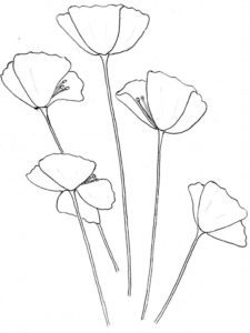fotos de flores para dibujar
