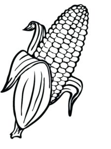 imagen de una planta de maiz