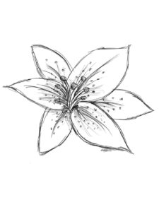 imagen flor azucena