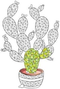 imagenes de cactus florecidos