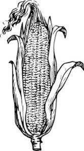 imagenes de el maiz
