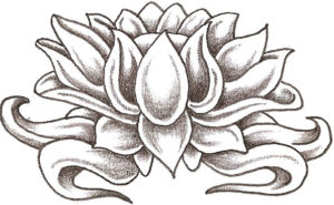 imagenes de flor de loto para tatuar