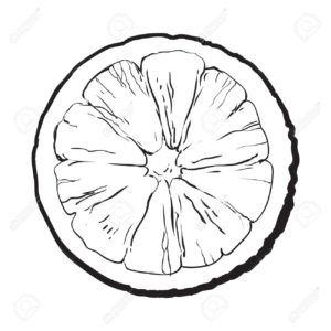 imagenes de naranjas para dibujar