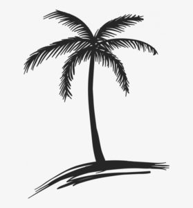 imagenes de paisajes con palmeras