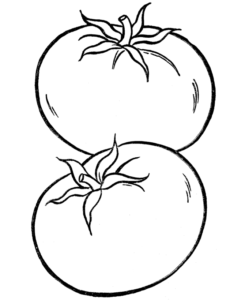 imagenes de tomates para dibujar