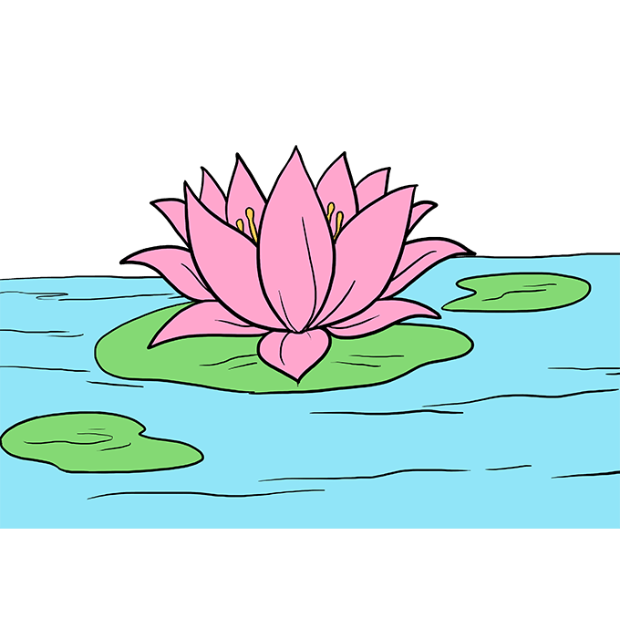 imagenes de una flor de loto