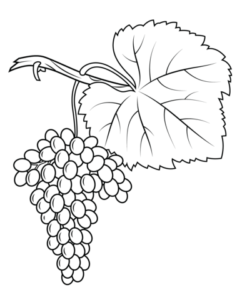 imagenes de uvas para colorear